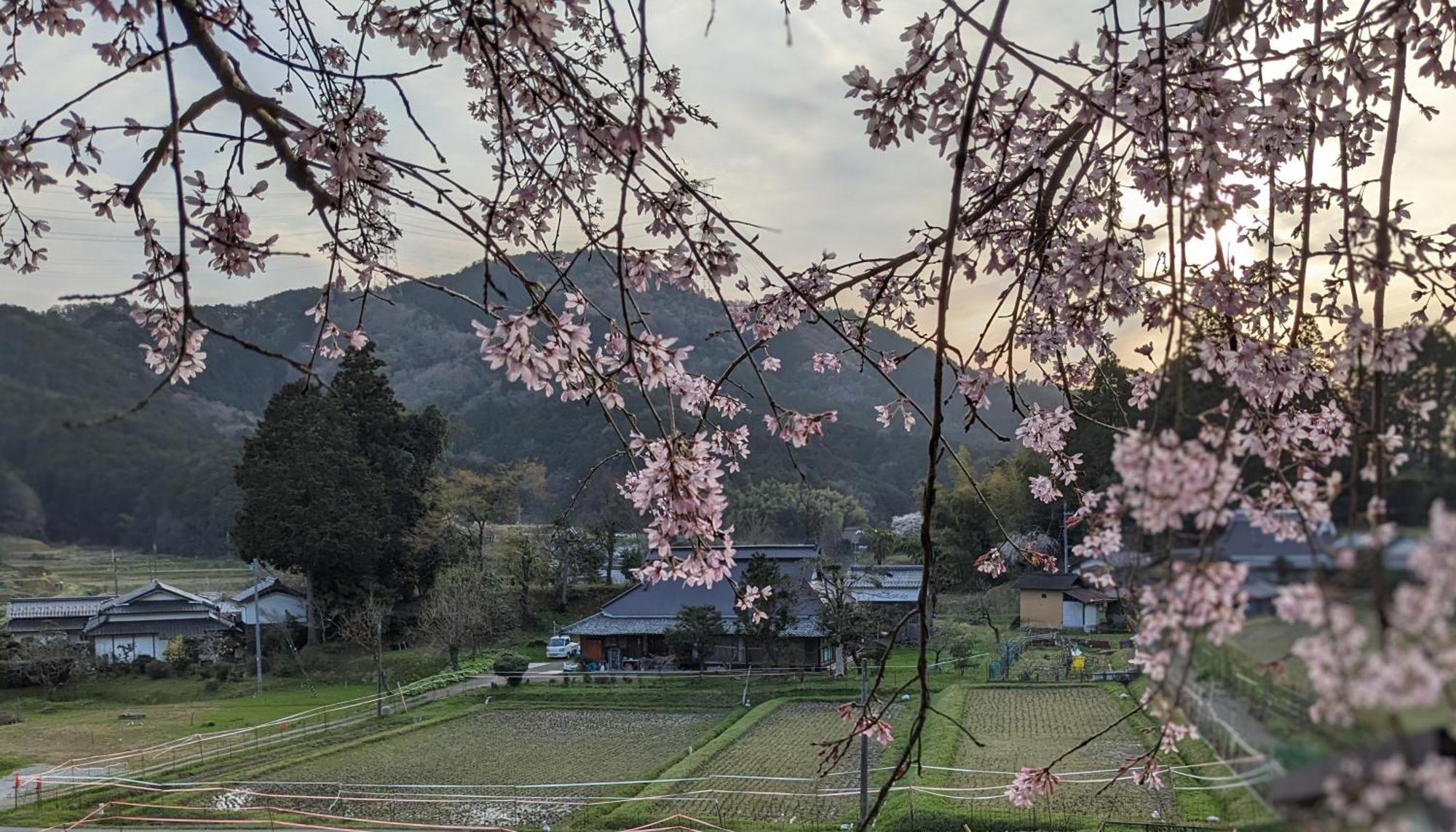 一汁一菜の宿　ちゃぶダイニング Ichiju Issai No Yado Chabu Dining Unforgettable Farmstay Experience In Deep Kyoto Ajabe Kültér fotó