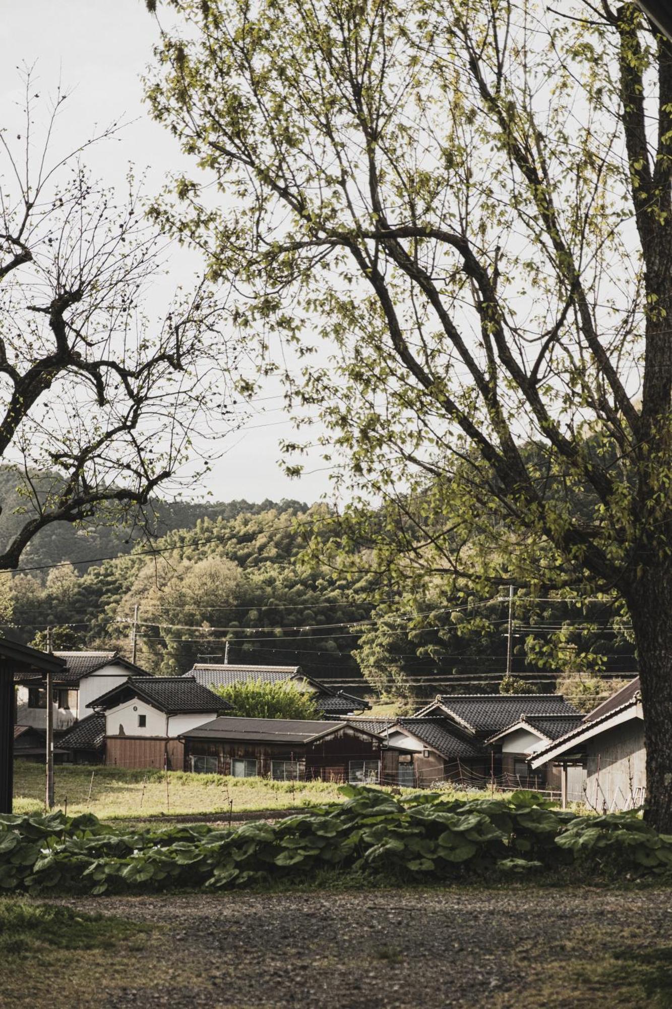 一汁一菜の宿　ちゃぶダイニング Ichiju Issai No Yado Chabu Dining Unforgettable Farmstay Experience In Deep Kyoto Ajabe Kültér fotó